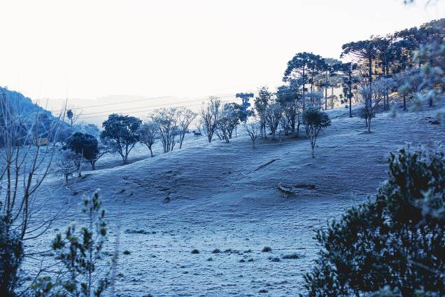 A paisagem branca na cidade de Erechim, no Rio Grande do Sul, que amanheceu com os campos coberto pela geada toda a semana. A paisagem branca na cidade de Erechim, no Rio Grande do Sul, que amanheceu com os campos coberto pela geada toda a semana.