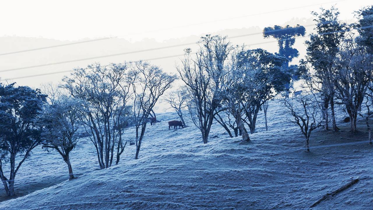 Frio - baixas temperaturas