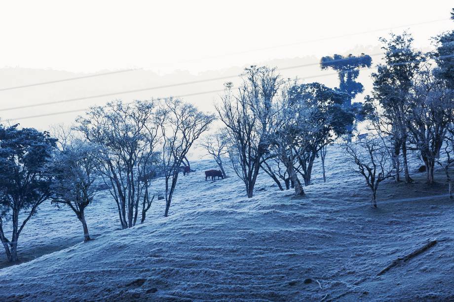 A paisagem branca na cidade de Erechim, no Rio Grande do Sul, que amanheceu com os campos coberto pela geada toda a semana.