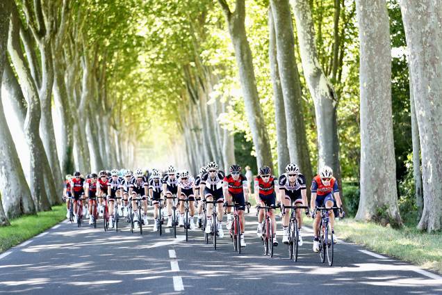 O pelotão passa por um campo de árvores durante o 14º estágio do Le Tour de France 2017, um percurso de 181 km de Blagnac a Rodez, em 15 de julho de 2017, Rodez na França O pelotão passa por um campo de árvores durante o 14º estágio do Le Tour de France 2017, um percurso de 181 km de Blagnac a Rodez, em 15 de julho de 2017, Rodez na França