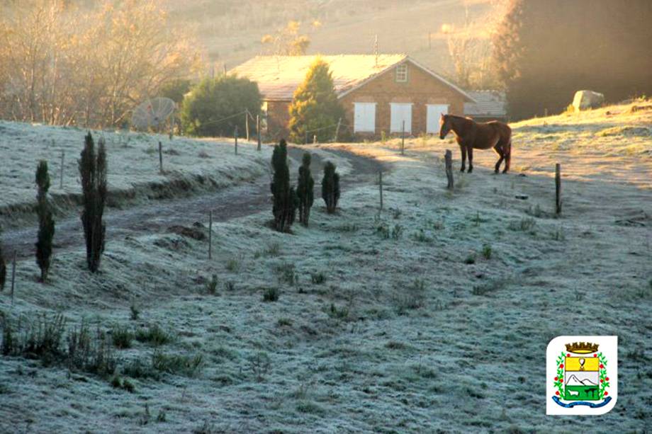 Frio intenso causa geadas e nevasca na cidade de São Joaquim, Santa Catarina