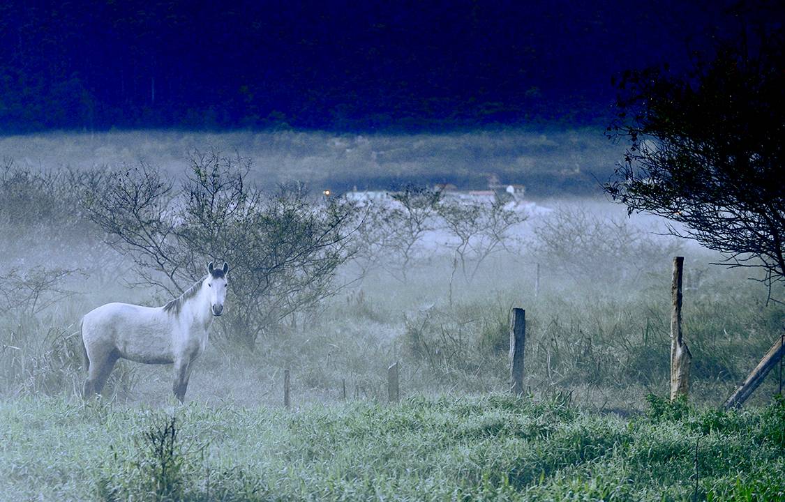 Neve no Brasil: Urupema - Santa Catarina