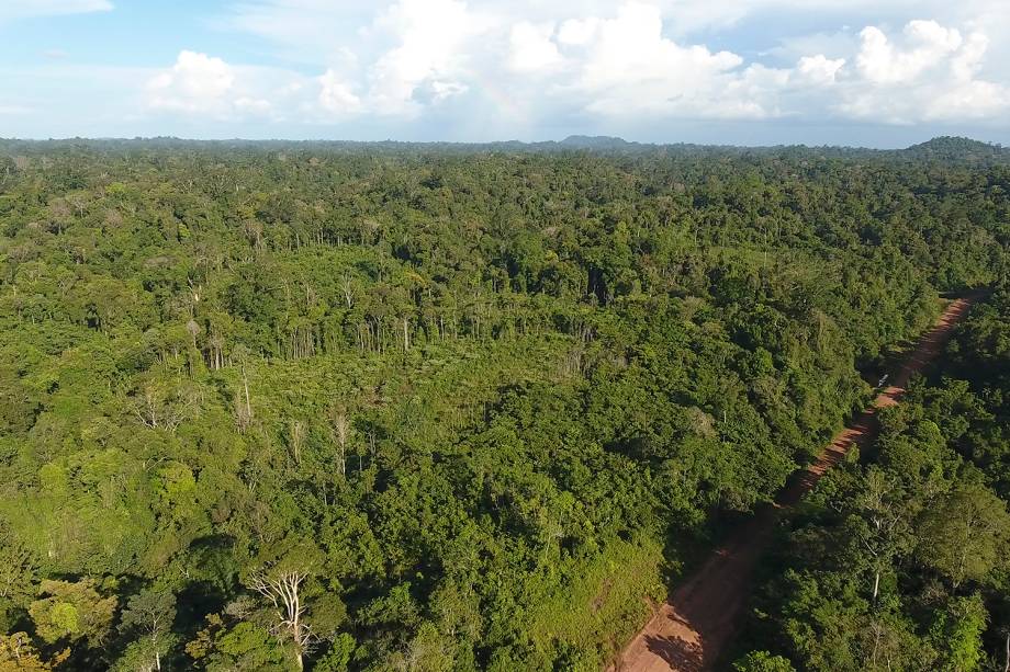 Decreto assinado pelo presidente Michel Temer no último dia 23 determina a extinção da Reserva Nacional de Cobre e Seus Associados, que abrange uma área de cerca de 47.000 quilômetros quadrados entre o Amapá e o Pará. Criticado nas redes sociais, o peemedebista editou um novo decreto, com explicações sobre a exploração mineral na área; na última sexta-feira o Ministério das Minas e Energia suspendeu os efeitos da medida por 120 dias, anunciando um "amplo debate com a sociedade"