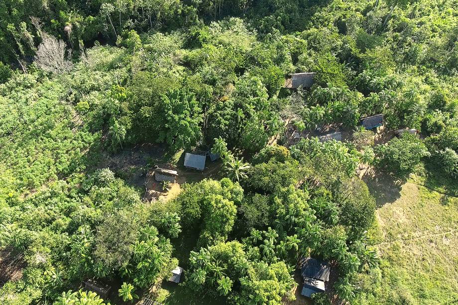 A Reserva Nacional de Cobre e seus Associados, delimitada em 1984 durante o governo de João Baptista Figueiredo, possui 47.000 quilômetros quadrados e foi extinta por decreto pelo presidente Michel Temer. Alvo de críticas, o peemedebista recuou e o governo suspendeu os efeitos da medida por 120 dias, anunciando um "amplo debate com a sociedade"