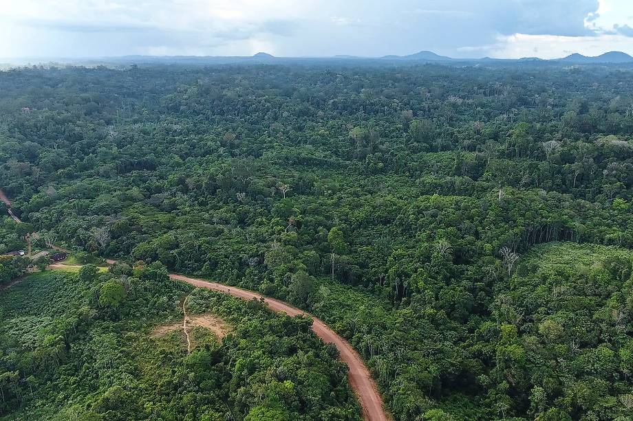 Os cerca de 6.000 quilômetros quadrados do território dos índios Waiãpi fazem fronteira com o Parque Nacional Montanhas do Tumucumaque, ao norte, e com a Reserva de Desenvolvimento Sustentável do Rio Iratapuru, ao sul. O decreto que extinguiu a Reserva Nacional de Cobre e Seus Associados mantém as três áreas protegidas de mineração e desmatamento. Índios e comunidades extrativistas temem efeitos colaterais de legalização da exploração mineral na região