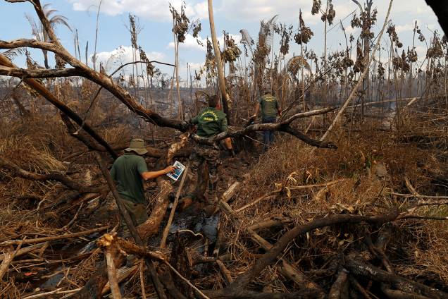 Agentes do Ibama inspecionam local durante a 'Operação Onda Verde' contra o desmatamento da Amazônia Agentes do Ibama inspecionam local durante a 'Operação Onda Verde' contra o desmatamento da Amazônia