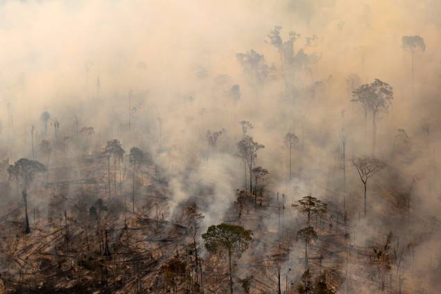 Chamas queimam floresta em Apuí, no Amazonas Chamas queimam floresta em Apuí, no Amazonas