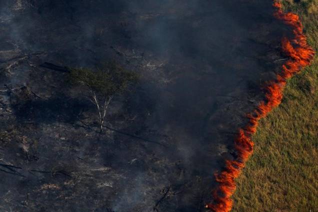 Chamas queimam floresta em Apuí, no Amazonas Chamas queimam floresta em Apuí, no Amazonas