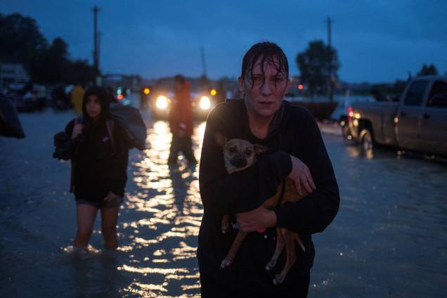 Uma mulher leva seu cachorro no colo durante a evacuação de casas em Houston, após a tempestade do furacão Harvey, no estado americano do Texas - 28/08/2017 Uma mulher leva seu cachorro no colo durante a evacuação de casas em Houston, após a tempestade do furacão Harvey, no estado americano do Texas - 28/08/2017