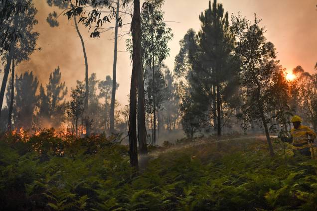 Bombeiros trabalham para conter as chamas do incêndio florestal na vila de Pucarica, em Abrantes, Portugal Bombeiros trabalham para conter as chamas do incêndio florestal na vila de Pucarica, em Abrantes, Portugal