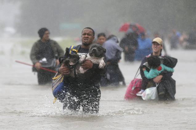 Homem resgata seu pitbull de tempestade que atingiu a costa leste dos Estados Unidos, trazida pelo furacão Harvey Homem resgata seu pitbull de tempestade que atingiu a costa leste dos Estados Unidos, trazida pelo furacão Harvey