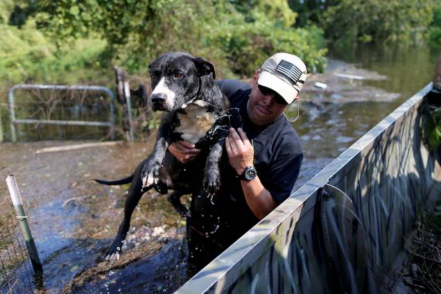 Homem resgata seu cachorro de tempestade que atingiu a costa leste dos Estados Unidos, trazida pelo furacão Harvey Homem resgata seu cachorro de tempestade que atingiu a costa leste dos Estados Unidos, trazida pelo furacão Harvey