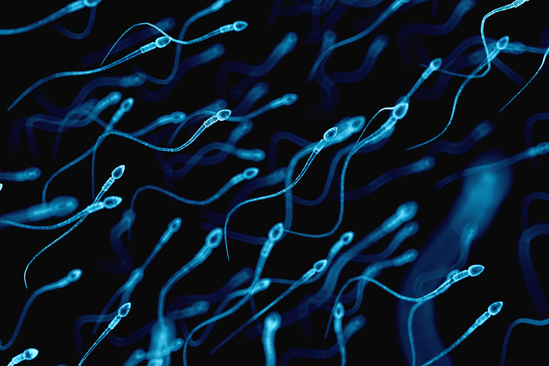 Espermatozoides acumulam alterações ligadas a doenças em filhos de pais mais velhos