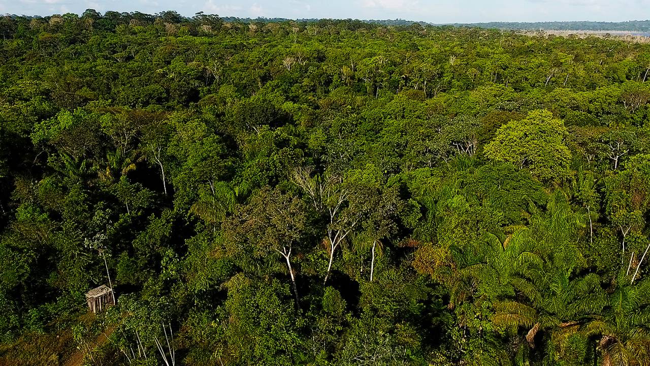Reserva Nacional de Cobre e Associados (Renca)