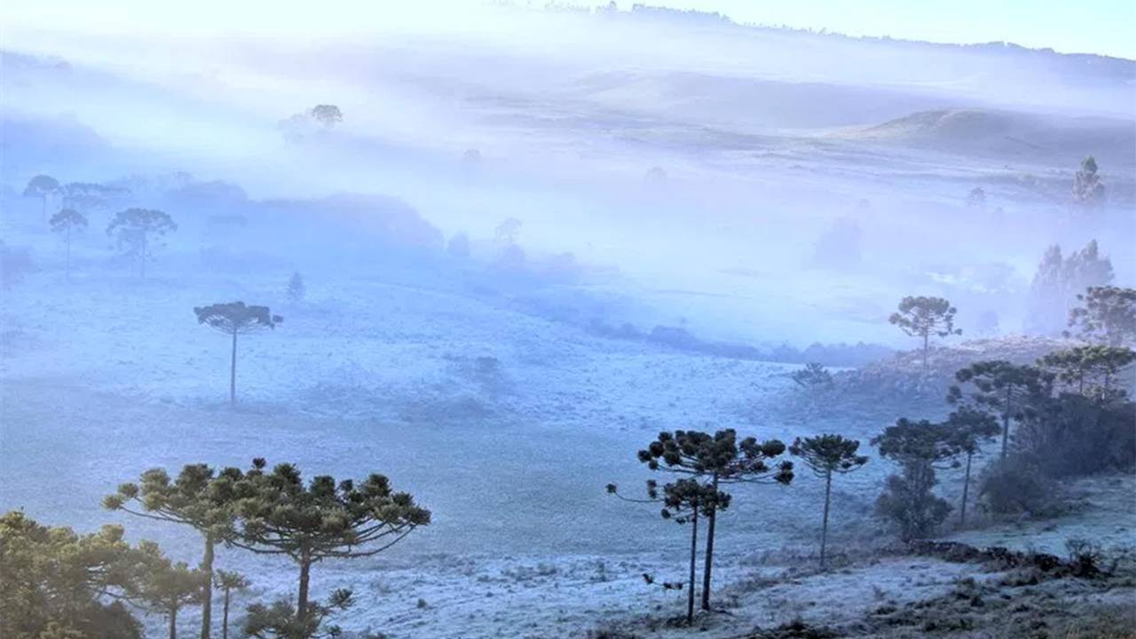 Imagens do dia - Frio em São Joaquim - SC