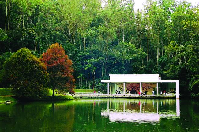 Instituto inhotim exibe arte de primeira num cenário repleto de espécies da mata atlântica e lagos ornamentais.