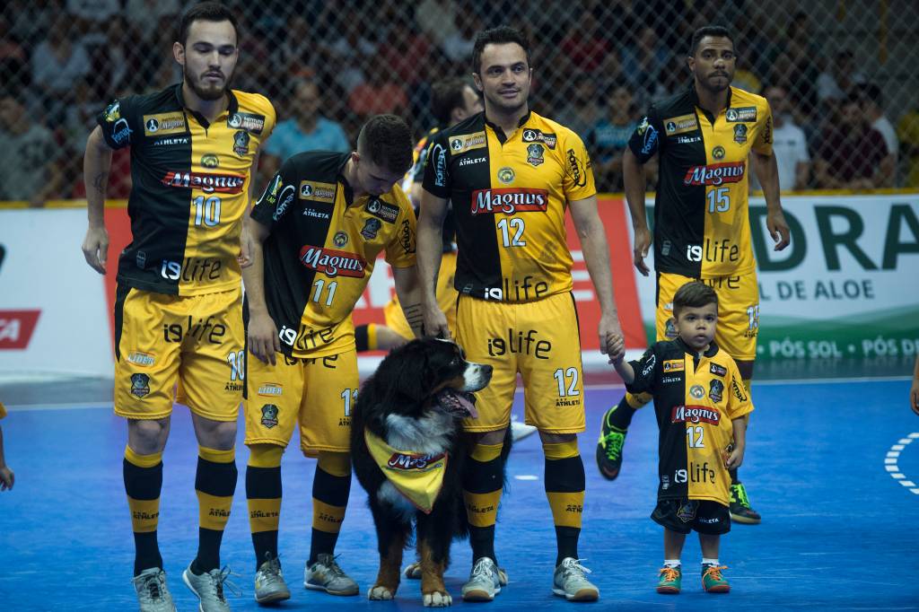Antes do in&iacute;cio da partida, o mascote do time entra em quadra ao lado de Falc&atilde;o
