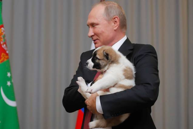 Vladmir Putin segura o cão pastor turco que o presidente do Turcomenistão, Gurbanguly Berdimuhamedov, deu à ele durante uma reunião em Sochi, na Rússia - 11/10/2017 Vladmir Putin segura o cão pastor turco que o presidente do Turcomenistão, Gurbanguly Berdimuhamedov, deu à ele durante uma reunião em Sochi, na Rússia - 11/10/2017