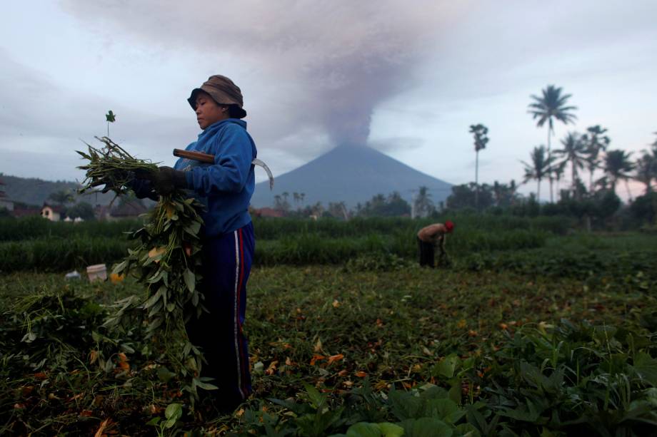 Agricultores cuidam de suas colheitas enquanto o Monte Agung entra em erupção em Bali, na Indonésia - 27/11/2017