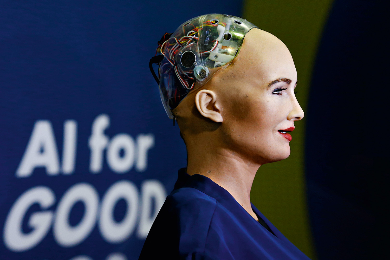 D&aacute; medo? &ndash; &rdquo;Se voc&ecirc; for legal comigo, eu serei com voc&ecirc;&rdquo;, diz Sophia