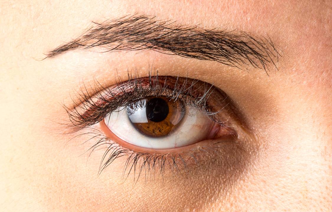 Olhos, cílios, sobrancelha
