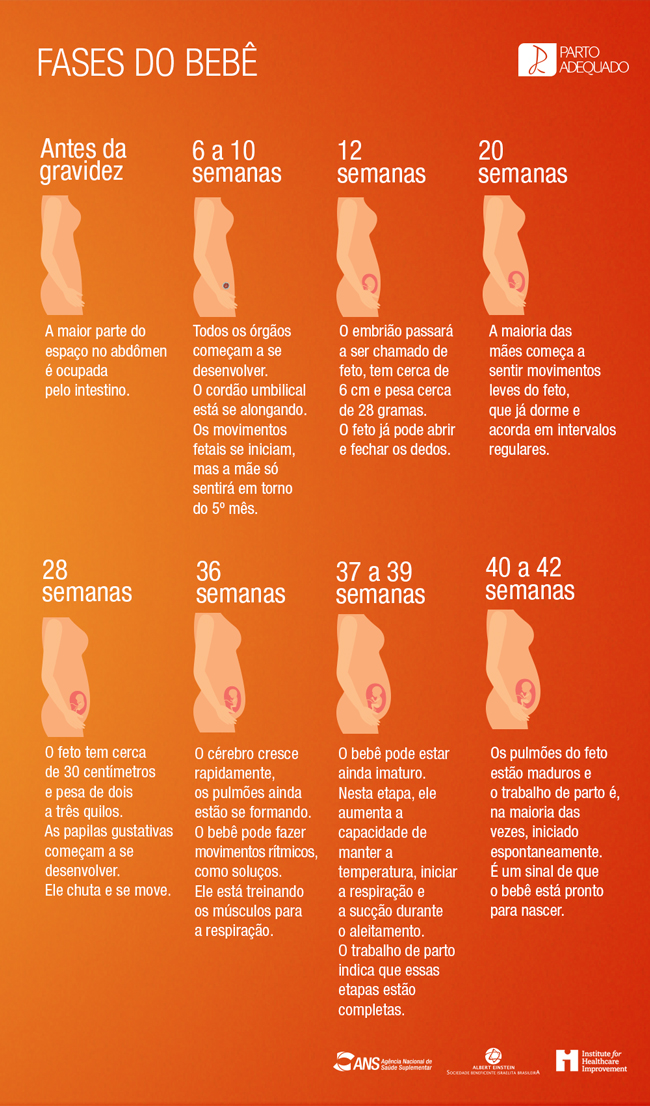 Fases do bebê – Agência Nacional de Saúde Suplementa