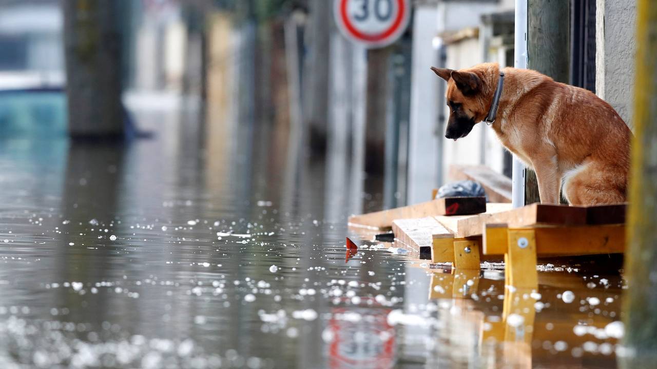 Inundação do rio Sena provoca enchentes em Paris
