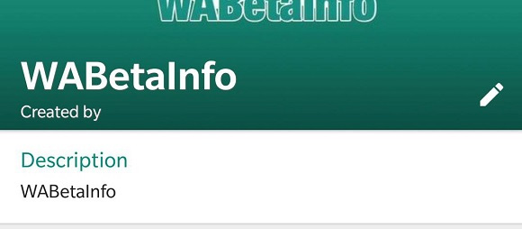 Whatsapp lança recurso de discrição de grupo para usuários Android