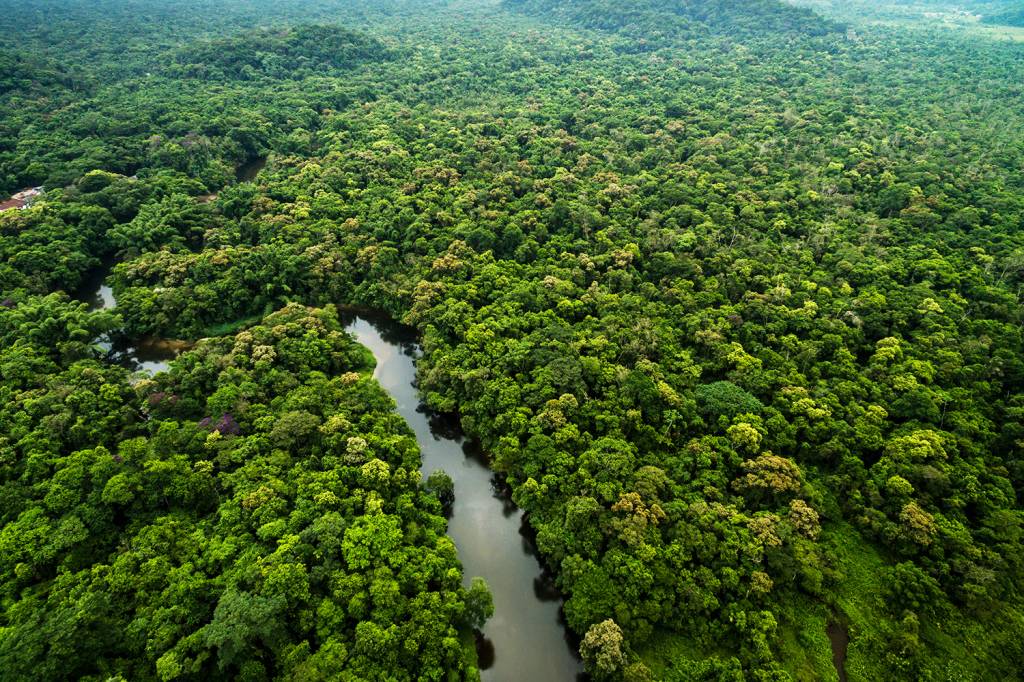 Regulamentação do mercado de carbono vai a sanção presidencial