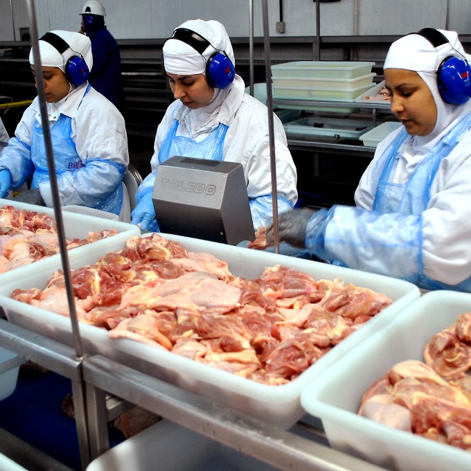 Governo autoriza BRF a retomar exportações para a Europa