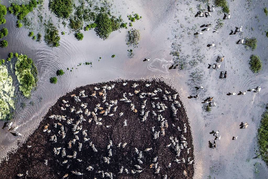 O paradoxo dos rios e dos lagos