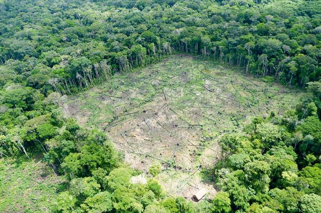 A Amazônia é o novo Rio A Amazônia é o novo Rio