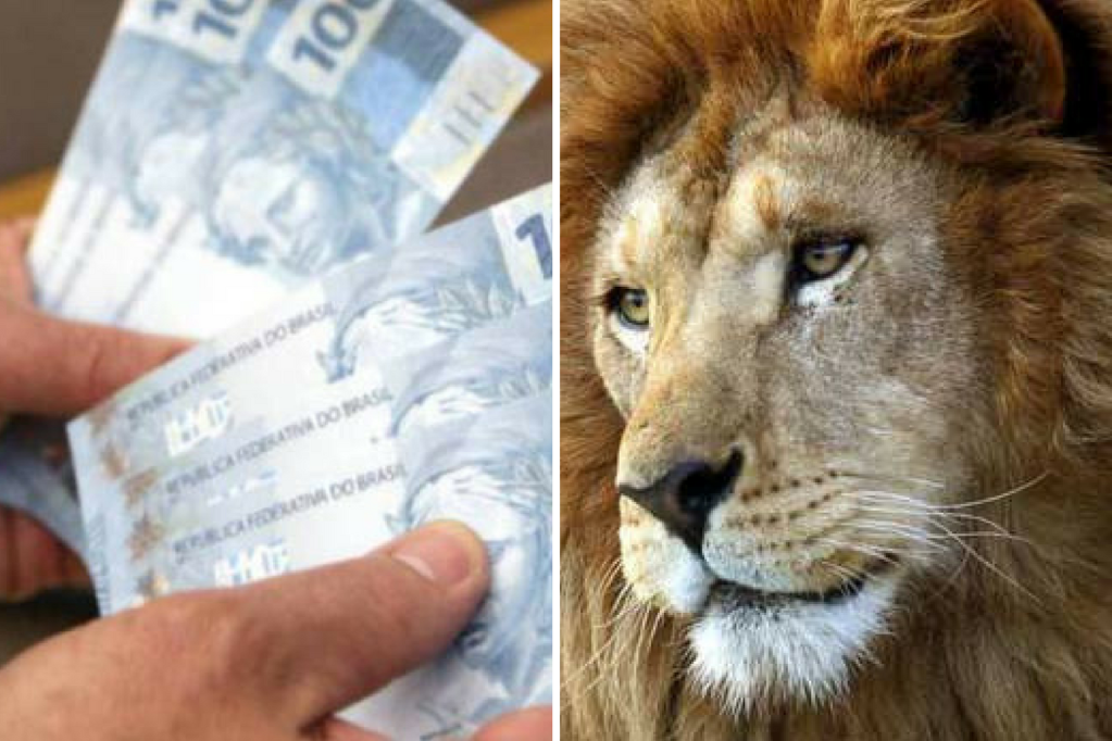 IR 2019: Saiba como declarar diárias recebidas do trabalho