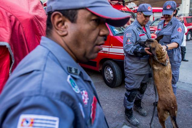 Cães farejadores auxiliam no trabalho das equipes de resgate no local do desabamento do edificio Wilton Paes de Almeida, no Largo do Paissandu, região central de São Paulo - 09/05/2018 Cães farejadores auxiliam no trabalho das equipes de resgate no local do desabamento do edificio Wilton Paes de Almeida, no Largo do Paissandu, região central de São Paulo - 09/05/2018