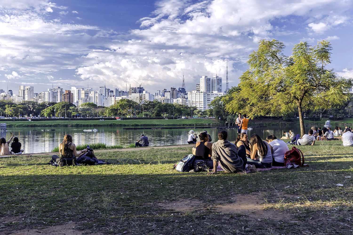 parque do ibirapuera