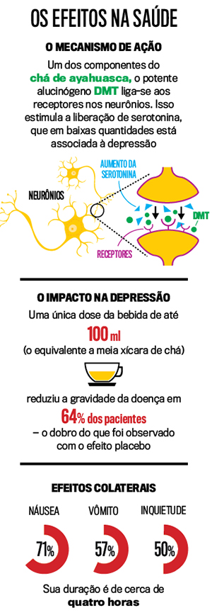arte-efeitos-cha-ayahuasca arte-efeitos-cha-ayahuasca