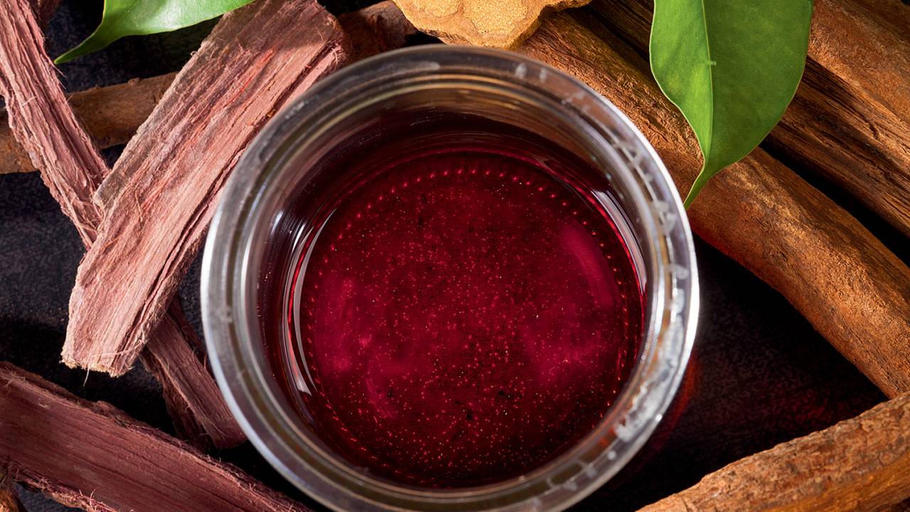 Feita com folhas e cipó da Amazônia, a ayahuasca foi liberada no Brasil em 1987 para práticas religiosas