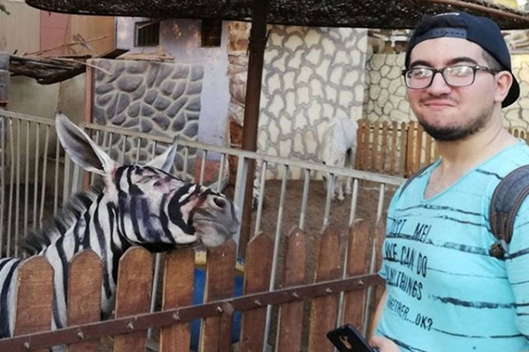 Zoológico é acusado de pintar burros como se fossem zebras no Egito