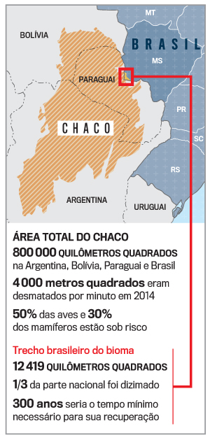 arte-area-chaco arte-area-chaco