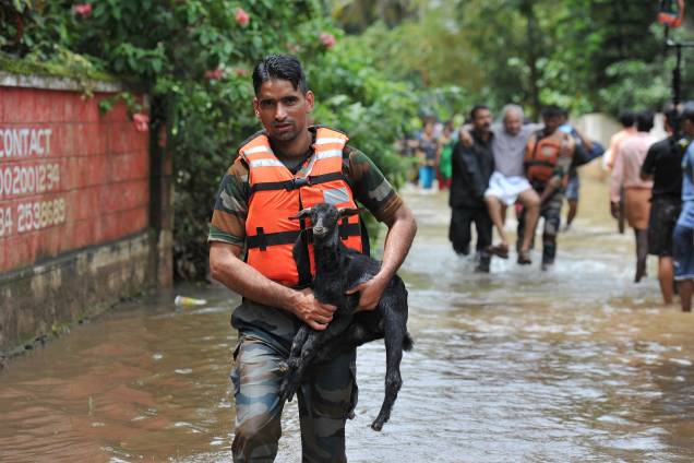 Idosos e animais são resgatados de áreas inundadas no distrito de de Thrissur, estado de Kerala, no sul da Índia - 19/08/2018 Idosos e animais são resgatados de áreas inundadas no distrito de de Thrissur, estado de Kerala, no sul da Índia - 19/08/2018
