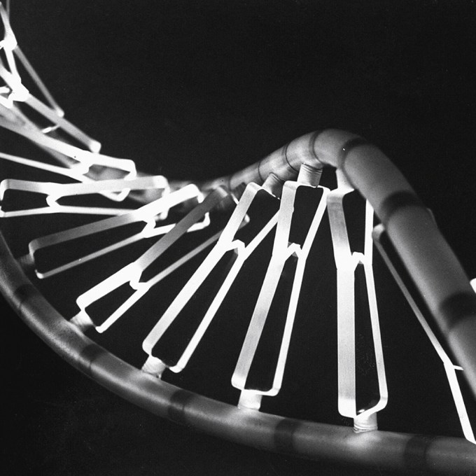 #26 OS GENES: No limite da ética