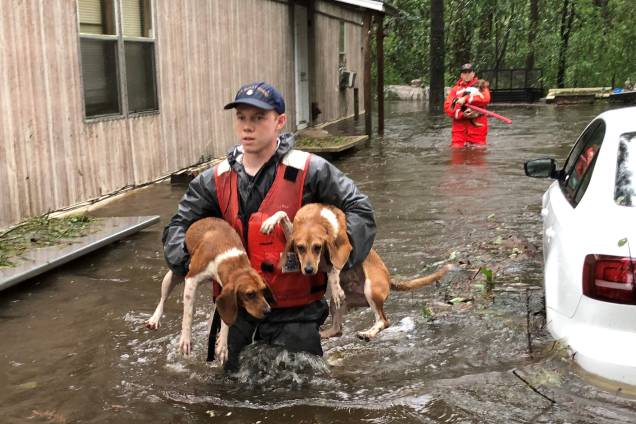 Membros Guarda Costeira resgatam animais de estimação encalhados pela água da enchente causada pelo furacão Florence perto de Riegelwood, Carolina Norte - 16/09/2018 Membros Guarda Costeira resgatam animais de estimação encalhados pela água da enchente causada pelo furacão Florence perto de Riegelwood, Carolina Norte - 16/09/2018
