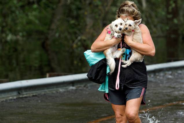 Mulher abraça seus cães de estimação após ser retirada de uma região inundada em Burgaw, na Carolina do Norte - 17/09/2018 Mulher abraça seus cães de estimação após ser retirada de uma região inundada em Burgaw, na Carolina do Norte - 17/09/2018