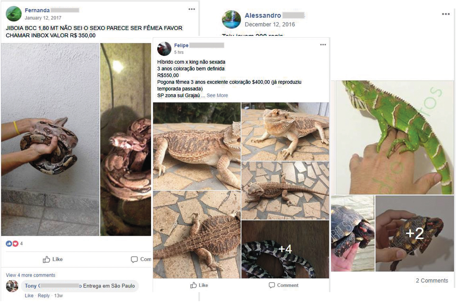 Tr&aacute;fico de animais