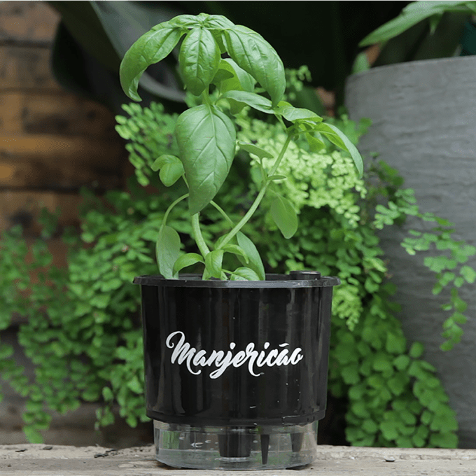 O vaso auto-irrigável está na moda. Mas funciona?