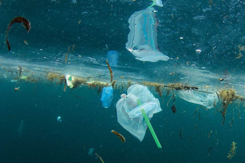 Bactérias e fungos podem ser solução para a crise do plástico, diz especialista