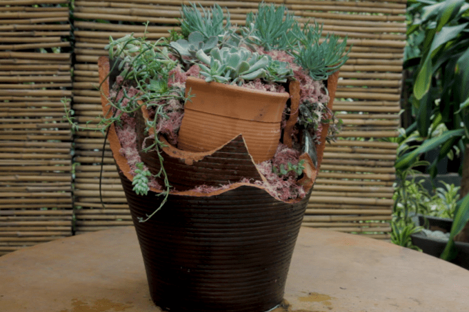 Vaso reconstruído – Jardineiro Casual