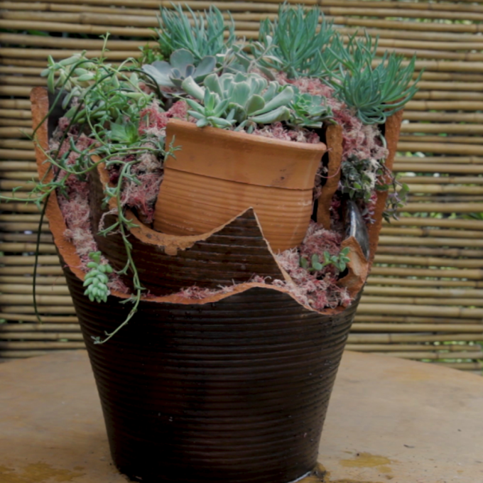 Do lixo ao luxo: Como transformar um vaso quebrado em um belo jardim