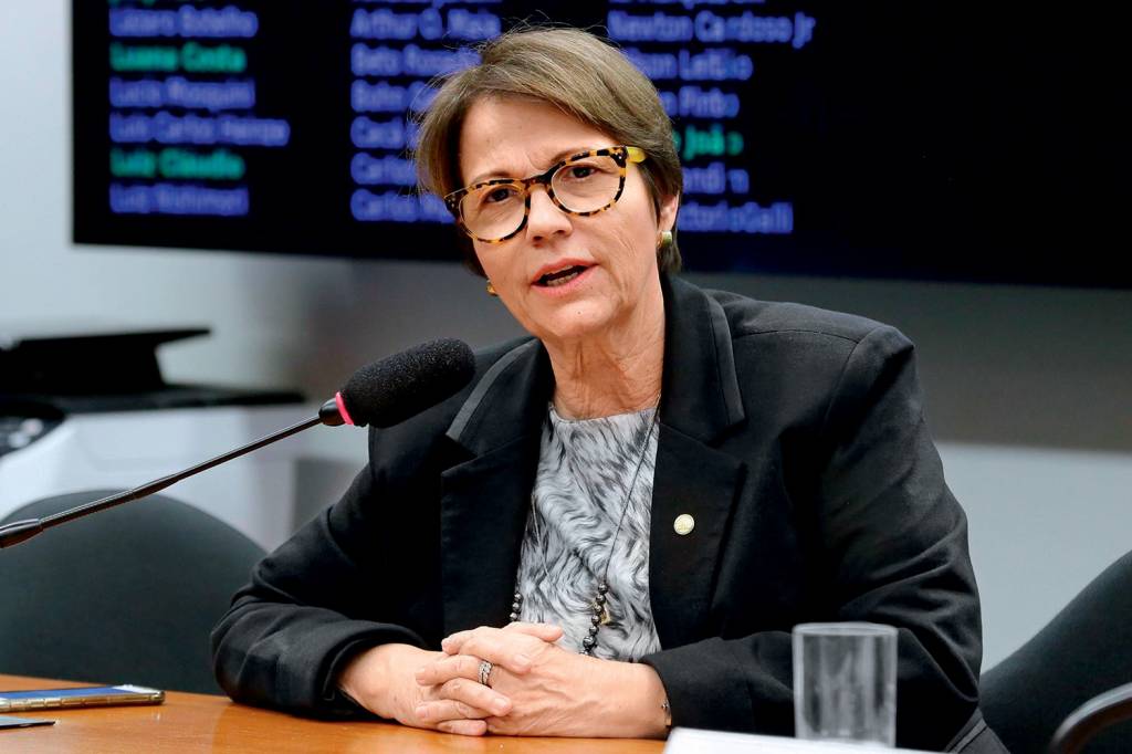 Futura ministra quer o fim da inspeção diária em frigoríficos no Brasil