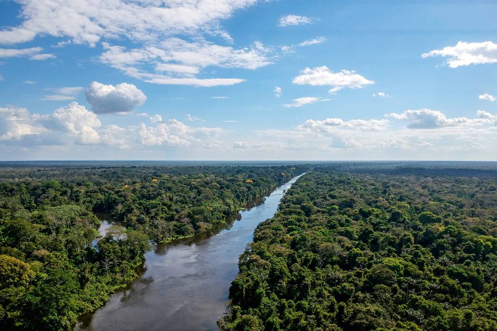 Floresta Amazônica Floresta Amazônica